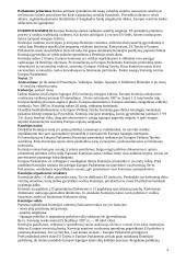 Europos Sąjungos (ES) institucijos bei jų aprašymai 4 puslapis