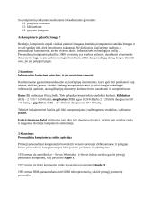 Informacinių technologijų paskaitų teorija 2 puslapis