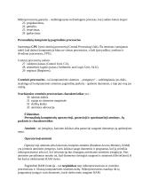 Informacinių technologijų paskaitų teorija 5 puslapis