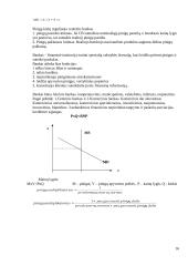 Makroekonomikos pagrindų temos 16 puslapis