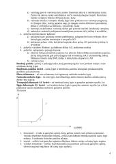 Makroekonomikos pagrindų temos 4 puslapis