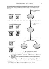 Projektavimas - informatika, elektrotechnika, elektronika 13 puslapis