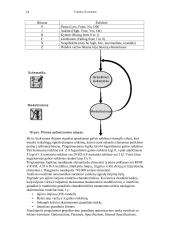 Projektavimas - informatika, elektrotechnika, elektronika 14 puslapis