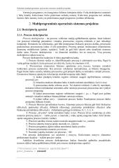 Paketinės multiprograminės operacinės sistemos modelis 5 puslapis