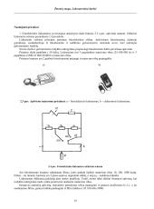 Žmonių sauga 20 puslapis