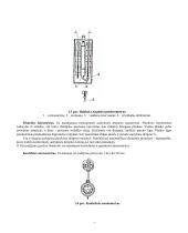 Žmonių sauga 7 puslapis