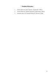 Ergonomika - darbo aplinkos projektavimas 13 puslapis