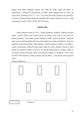 Ergonomika - darbo aplinkos projektavimas 10 puslapis
