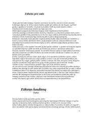 Etiketo paskirtis 3 puslapis