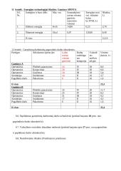 Gaminamos produkcijos pelningumo įvertinimas 12 puslapis