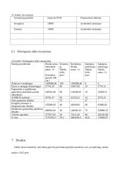 Gaminamos produkcijos pelningumo įvertinimas 18 puslapis