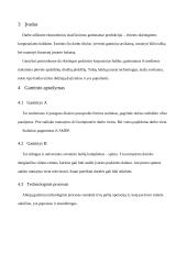 Gaminamos produkcijos pelningumo įvertinimas 4 puslapis