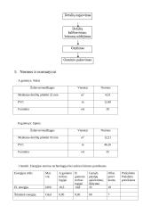 Gaminamos produkcijos pelningumo įvertinimas 5 puslapis