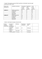 Gaminamos produkcijos pelningumo įvertinimas 6 puslapis