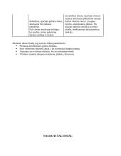 Termino „Prekės ženklo įvaizdis“ samprata 10 puslapis