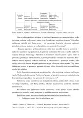 Marketingo kompleksų elementų analizės teoriniai aspektai 12 puslapis