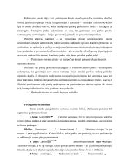 Marketingo kompleksų elementų analizės teoriniai aspektai 13 puslapis