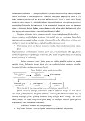 Marketingo kompleksų elementų analizės teoriniai aspektai 9 puslapis