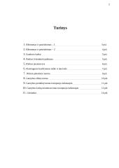 Mikroekonomikos pagrindų pagrindinės temos 2 puslapis