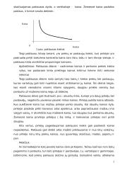 Paklausa, pasiūla, rinkos pusiausvyra ir jos kitimas 2 puslapis