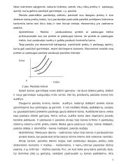 Paklausa, pasiūla, rinkos pusiausvyra ir jos kitimas 3 puslapis