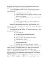 Paslaugų prigimtis ir ypatumai 2 puslapis