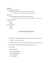 Priėmimų organizavimas 11 puslapis