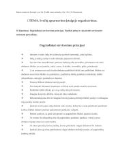 Priėmimų organizavimas 3 puslapis