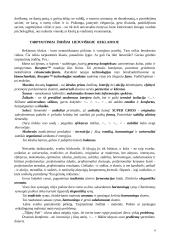 Reklamos mano miesto laikraštyje kalbos analizė 5 puslapis