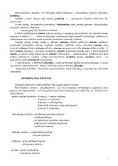 Reklamos mano miesto laikraštyje kalbos analizė 6 puslapis