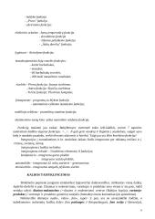 Reklamos mano miesto laikraštyje kalbos analizė 7 puslapis
