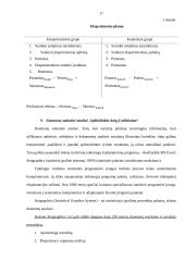 Sociologija 17 puslapis