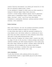 Svečių sutikimas ir oficialūs pokalbiai 13 puslapis