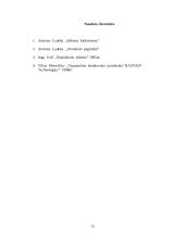 Svečių sutikimas ir oficialūs pokalbiai 16 puslapis