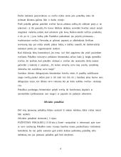 Svečių sutikimas ir oficialūs pokalbiai 5 puslapis