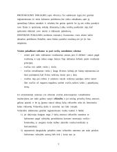 Svečių sutikimas ir oficialūs pokalbiai 6 puslapis