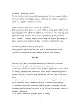 Svečių sutikimas ir oficialūs pokalbiai 8 puslapis