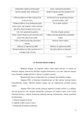 Šlaitinių stogų dengimo verslo organizavimo proceso projektavimas 11 puslapis