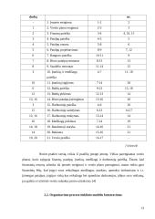 Šlaitinių stogų dengimo verslo organizavimo proceso projektavimas 13 puslapis