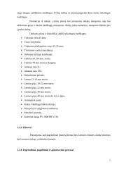 Šlaitinių stogų dengimo verslo organizavimo proceso projektavimas 7 puslapis