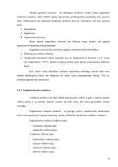 Šlaitinių stogų dengimo verslo organizavimo proceso projektavimas 8 puslapis