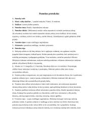 Pamokos stebėjimas: lietuvių kalbos pamoka 2 puslapis