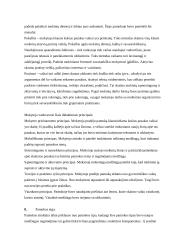 Pamokos stebėjimas: lietuvių kalbos pamoka 3 puslapis