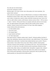 Pamokos stebėjimas: lietuvių kalbos pamoka 5 puslapis