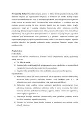 Renginys: administraciniai teisės pažeidimai 2 puslapis