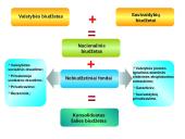 2010-2011 metų Lietuvos Respublikos (LR) biudžetų palyginimas 2 puslapis