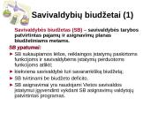 2010-2011 metų Lietuvos Respublikos (LR) biudžetų palyginimas 14 puslapis