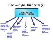 2010-2011 metų Lietuvos Respublikos (LR) biudžetų palyginimas 15 puslapis