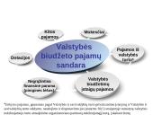 2010-2011 metų Lietuvos Respublikos (LR) biudžetų palyginimas 3 puslapis