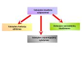 2010-2011 metų Lietuvos Respublikos (LR) biudžetų palyginimas 4 puslapis